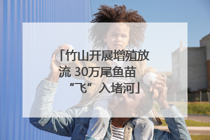 竹山开展增殖放流 30万尾鱼苗“飞”入堵河