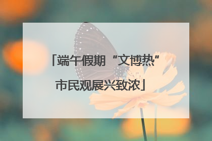 端午假期“文博热” 市民观展兴致浓