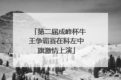 第二届成峰杯牛王争霸赛在科左中旗激情上演