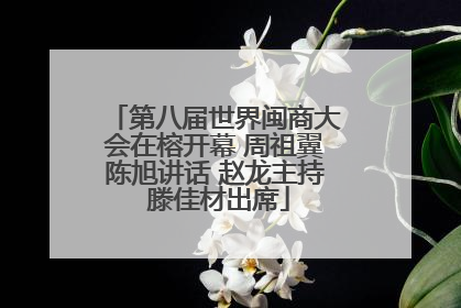 第八届世界闽商大会在榕开幕 周祖翼陈旭讲话 赵龙主持 滕佳材出席