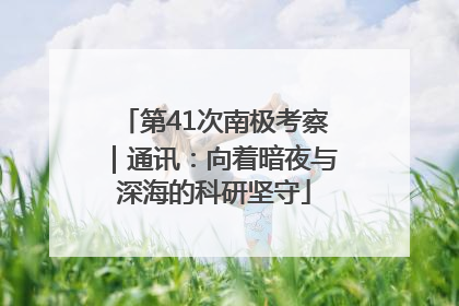 第41次南极考察｜通讯：向着暗夜与深海的科研坚守