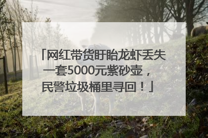 网红带货盱眙龙虾丢失一套5000元紫砂壶，民警垃圾桶里寻回！