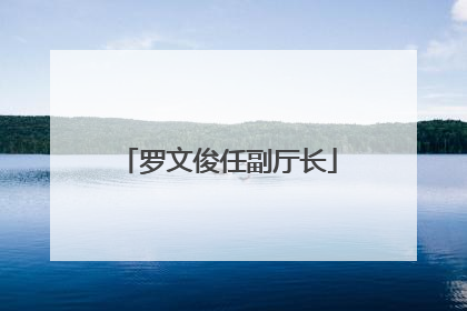 罗文俊任副厅长