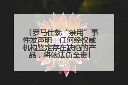 罗马仕就“禁用”事件发声明：任何经权威机构鉴定存在缺陷的产品，将依法负全责