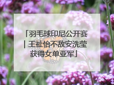羽毛球印尼公开赛｜王祉怡不敌安洗莹 获得女单亚军