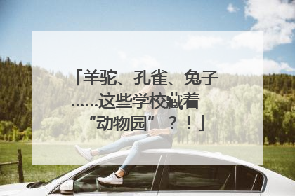 羊驼、孔雀、兔子……这些学校藏着 “动物园”？！