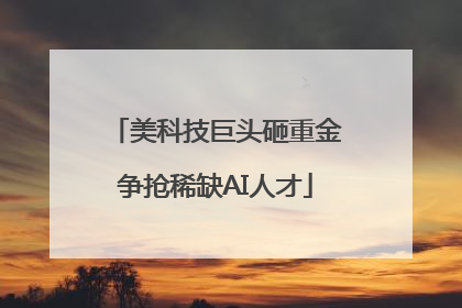美科技巨头砸重金争抢稀缺AI人才