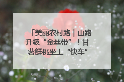 美丽农村路｜山路升级“金丝带”！甘薯鲜桃坐上“快车”，开去大市场