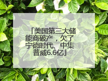 美国第三大储能商破产，欠了宁德时代、中集普威6.6亿