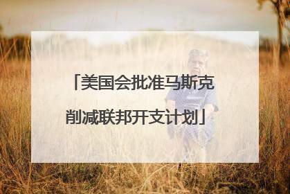 美国会批准马斯克削减联邦开支计划