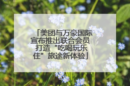 美团与万豪国际宣布推出联合会员 打造“吃喝玩乐住”旅途新体验