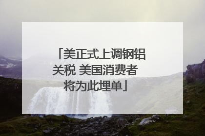 美正式上调钢铝关税 美国消费者将为此埋单