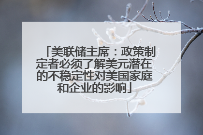 美联储主席：政策制定者必须了解美元潜在的不稳定性对美国家庭和企业的影响