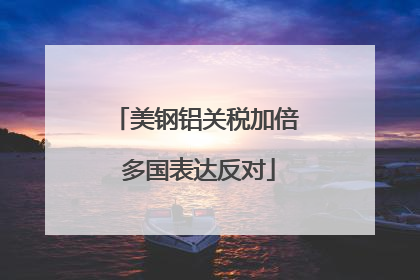 美钢铝关税加倍 多国表达反对