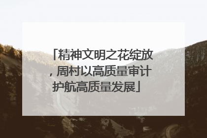 精神文明之花绽放，周村以高质量审计护航高质量发展