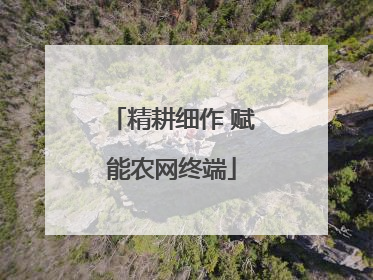 精耕细作 赋能农网终端