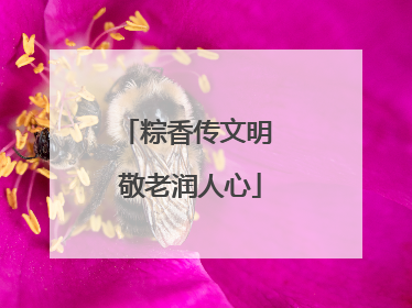粽香传文明 敬老润人心