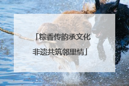 粽香传韵承文化 非遗共筑邻里情