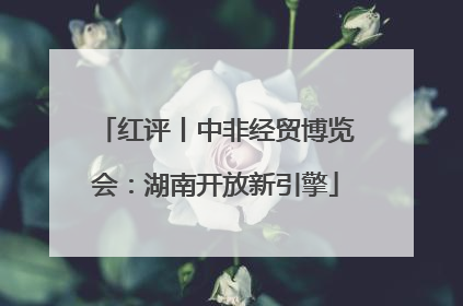 红评丨中非经贸博览会：湖南开放新引擎