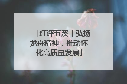 红评五溪丨弘扬龙舟精神，推动怀化高质量发展