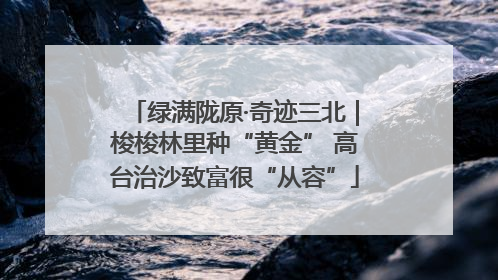 绿满陇原·奇迹三北｜梭梭林里种“黄金” 高台治沙致富很“从容”