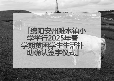 绵阳安州雎水镇小学举行2025年春学期贫困学生生活补助确认签字仪式