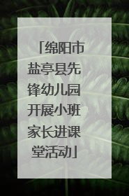 绵阳市盐亭县先锋幼儿园开展小班家长进课堂活动