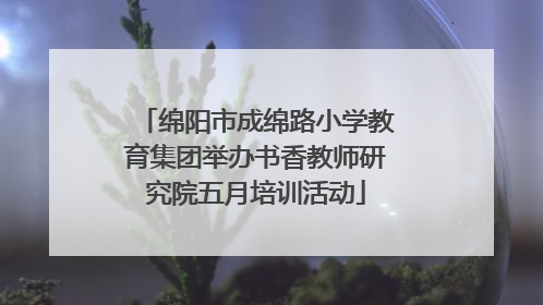 绵阳市成绵路小学教育集团举办书香教师研究院五月培训活动
