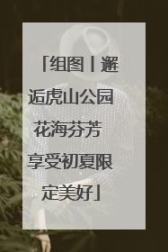 组图丨邂逅虎山公园花海芬芳 享受初夏限定美好