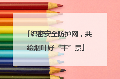 织密安全防护网，共绘烟叶好“丰”景