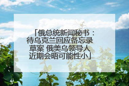 俄总统新闻秘书：待乌克兰回应备忘录草案 俄美乌领导人近期会晤可能性小