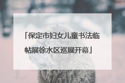 保定市妇女儿童书法临帖展徐水区巡展开幕