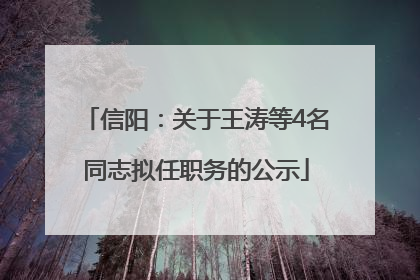 信阳：关于王涛等4名同志拟任职务的公示