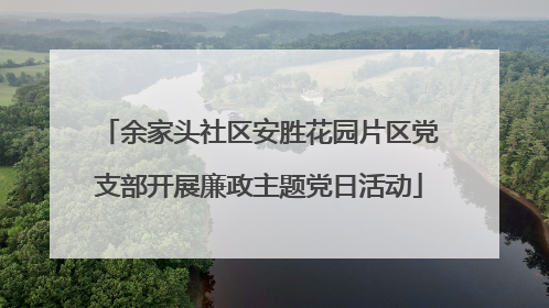 余家头社区安胜花园片区党支部开展廉政主题党日活动