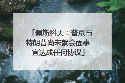 佩斯科夫：普京与特朗普尚未就会面事宜达成任何协议