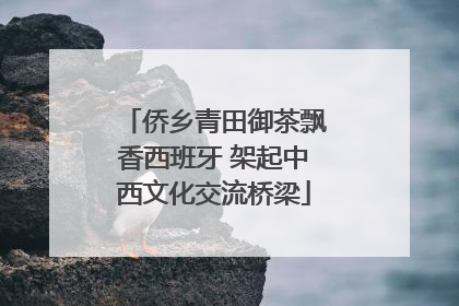 侨乡青田御茶飘香西班牙 架起中西文化交流桥梁