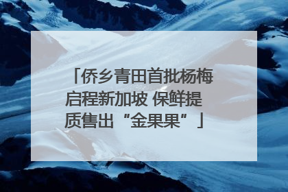 侨乡青田首批杨梅启程新加坡 保鲜提质售出“金果果”