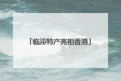临潼特产亮相香港