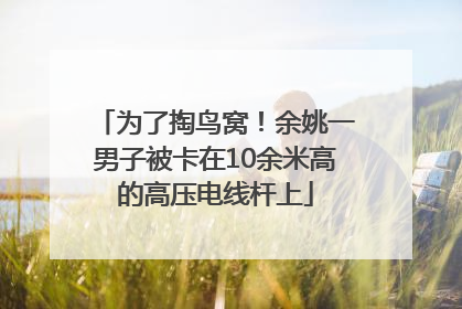 为了掏鸟窝！余姚一男子被卡在10余米高的高压电线杆上