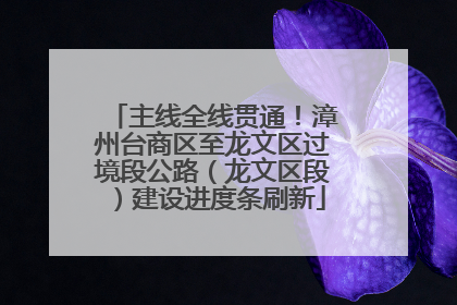 主线全线贯通！漳州台商区至龙文区过境段公路（龙文区段）建设进度条刷新