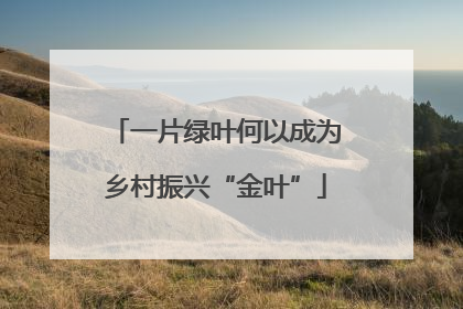一片绿叶何以成为乡村振兴“金叶”