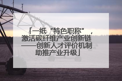 一纸“特色职称”，激活碳纤维产业创新链——创新人才评价机制 助推产业升级