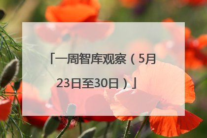 一周智库观察（5月23日至30日）