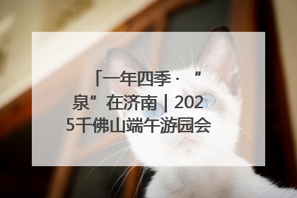 一年四季 · “泉”在济南｜2025千佛山端午游园会邀您共享亲子时光
