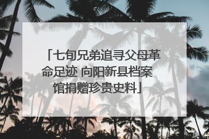 七旬兄弟追寻父母革命足迹 向阳新县档案馆捐赠珍贵史料