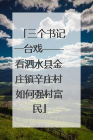 三个书记一台戏——看泗水县金庄镇辛庄村如何强村富民