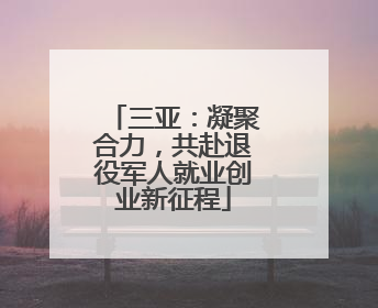 三亚：凝聚合力，共赴退役军人就业创业新征程