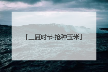 三夏时节·抢种玉米