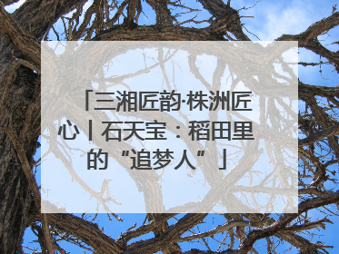 三湘匠韵·株洲匠心丨石天宝：稻田里的“追梦人”