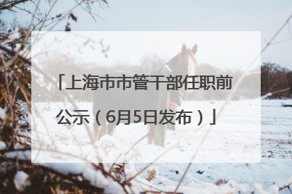 上海市市管干部任职前公示（6月5日发布）